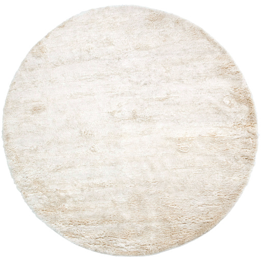 Contemporary & Transitional Rugs Ashton ASH-1300 (Sample only) Ivory - Beige Hand Woven Rug
