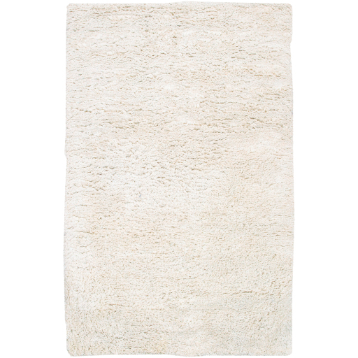 Contemporary & Transitional Rugs Ashton ASH-1300 (Sample only) Ivory - Beige Hand Woven Rug