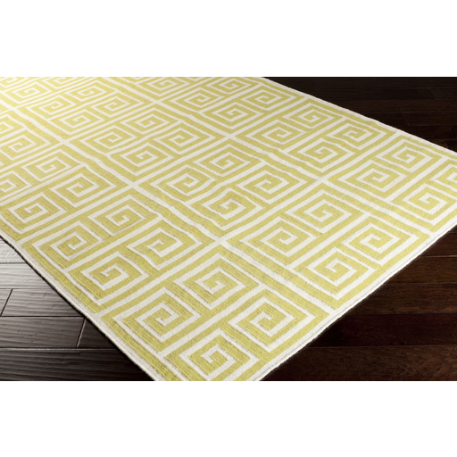 Clearance & Discount Rugs FRONTIER FT-416 Lt.Green & Lt. Green Flat weave Rug