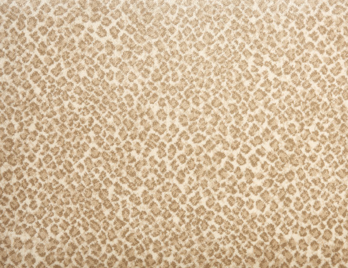 Custom & Wall to Wall Serengeti Desert Ivory - Beige Machine Made Rug