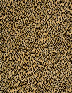 Serengeti