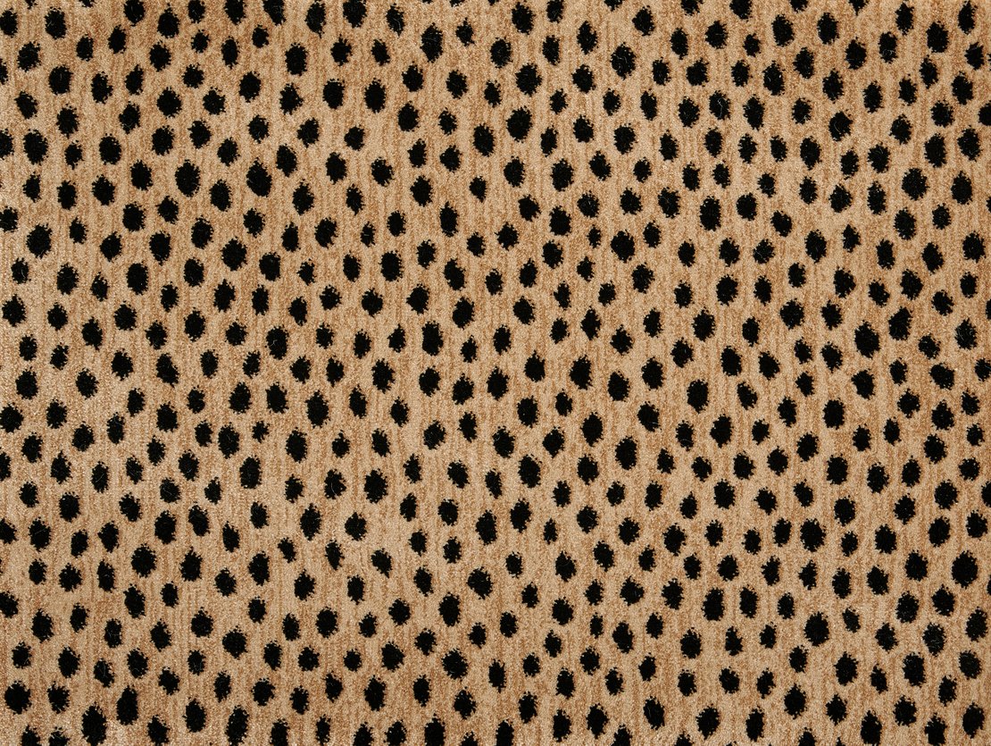 Custom & Wall to Wall Dottie Bronze Camel - Taupe & Black - Charcoal Machine Made Rug