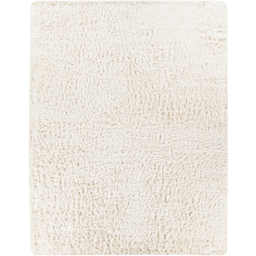 Contemporary & Modern Rugs Ashton ASH-1300 (Sample only) Ivory - Beige Hand Woven Rug