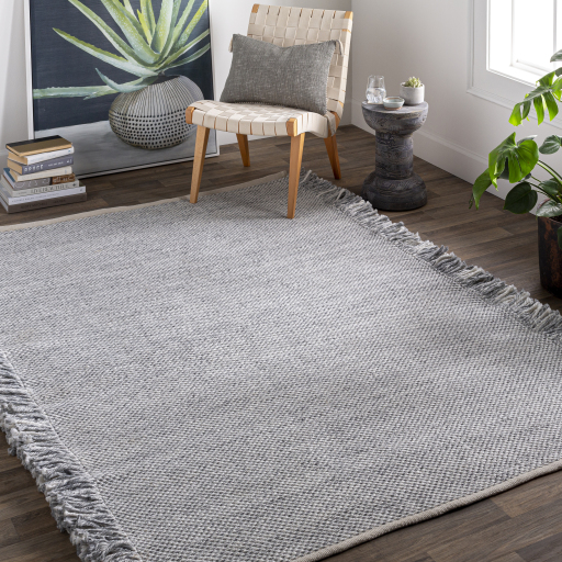 Transitional & Casual Rugs Azalea AZA-2314 (Sample only) Lt. Grey - Grey Hand Woven Rug