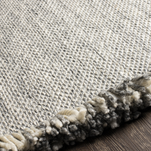 Transitional & Casual Rugs Azalea AZA-2314 (Sample only) Lt. Grey - Grey Hand Woven Rug