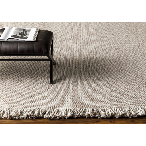 Transitional & Casual Rugs Azalea AZA-2313 (Sample only) Lt. Grey - Grey Hand Woven Rug