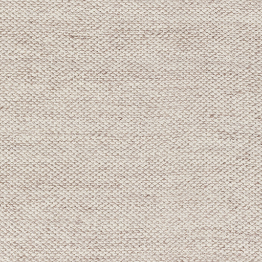 Transitional & Casual Rugs Azalea AZA-2313 (Sample only) Lt. Grey - Grey Hand Woven Rug