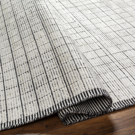 Contemporary & Transitional Rugs Carre CCR-2301 Lt. Grey - Grey & Black - Charcoal Hand Loomed Rug