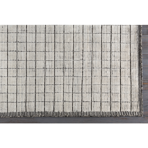 Contemporary & Transitional Rugs Carre CCR-2301 Lt. Grey - Grey & Black - Charcoal Hand Loomed Rug