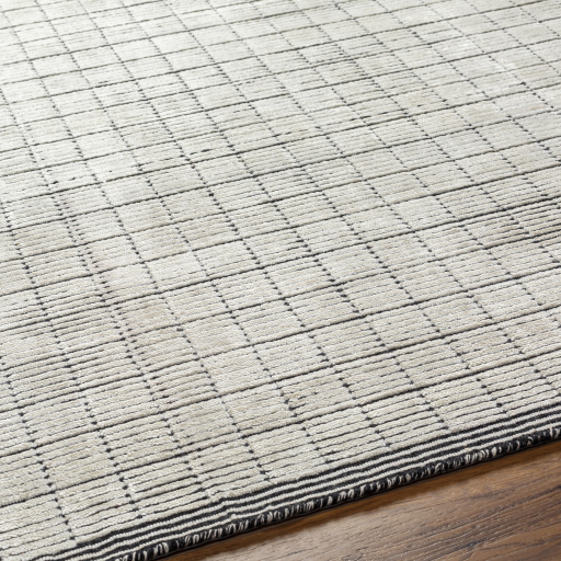 Contemporary & Transitional Rugs Carre CCR-2301 Lt. Grey - Grey & Black - Charcoal Hand Loomed Rug