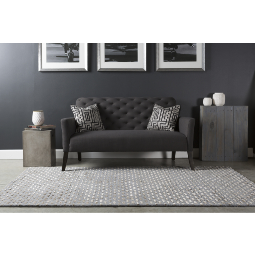 Contemporary & Transitional Rugs Atlantis ATL-6001 (sample only) Black - Charcoal & Lt. Grey - Grey Hand Tufted Rug