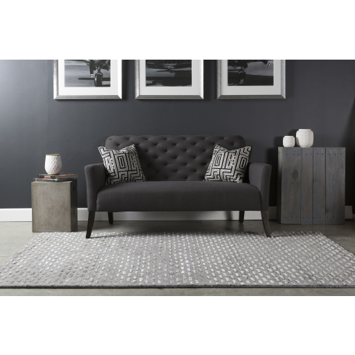 Contemporary Rugs & Transitional Rugs Atlantis ATL-6001 (sample only) Black - Charcoal & Lt. Grey - Grey Hand Tufted Rug