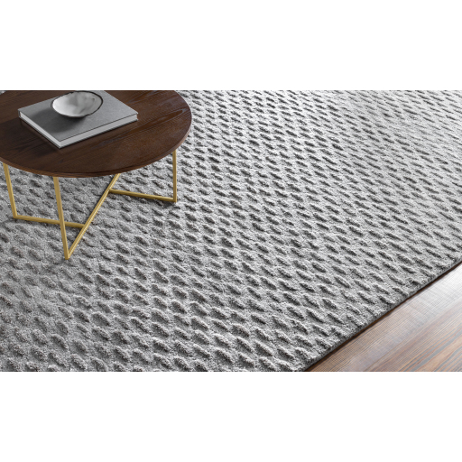 Contemporary & Transitional Rugs Atlantis ATL-6001 (sample only) Black - Charcoal & Lt. Grey - Grey Hand Tufted Rug