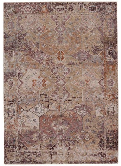 Contemporary Rugs & Transitional Rugs Valentia VLN11 Other & Multi Machine Made Rug