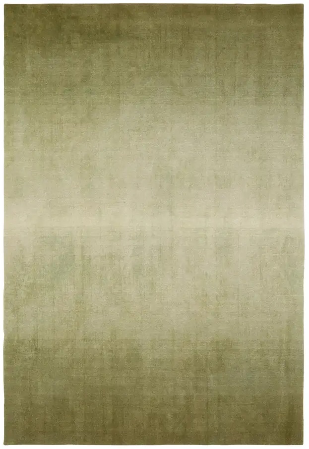 Casual Rugs & Solid Rugs Arena ARN04 Green Hand Woven Rug