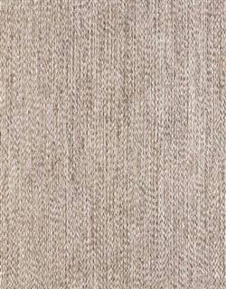 Splendor Stria