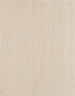 Splendor Stria