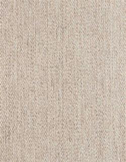 Splendor Stria