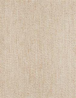 Splendor Stria