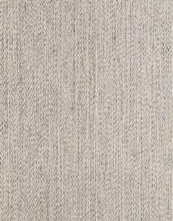 Splendor Stria