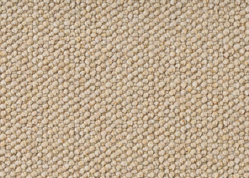 Casual Rugs & Solid Rugs Tropic Isle 6523/0001 - 0004 Color Options Other Machine Made Rug