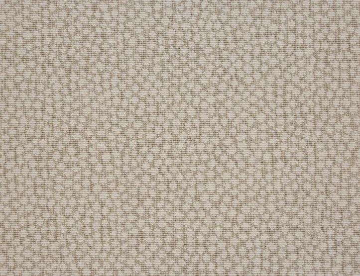 Custom Rugs, Runners & Rounds Maddox Cheetah Maddox Other Machine Made Rug